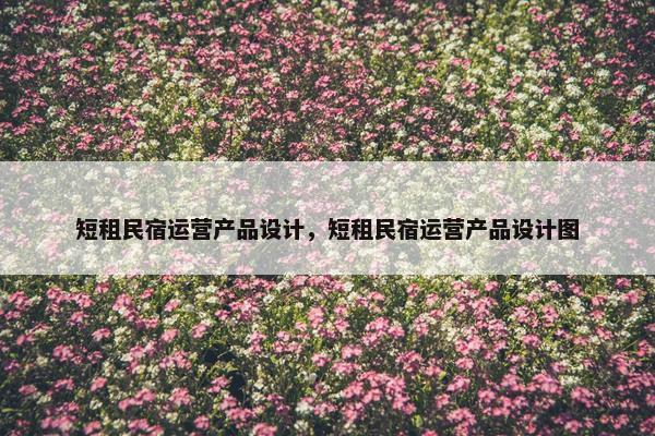 短租民宿运营产品设计，短租民宿运营产品设计图