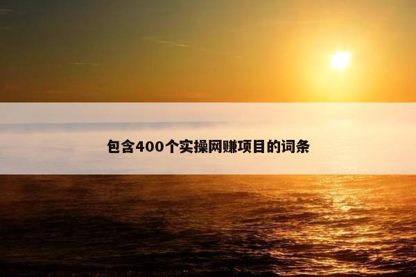 包含400个实操网赚项目的词条