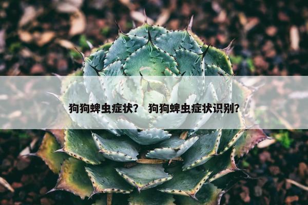 狗狗蜱虫症状？ 狗狗蜱虫症状识别？