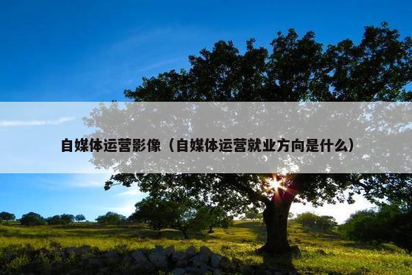 自媒体运营影像（自媒体运营就业方向是什么）