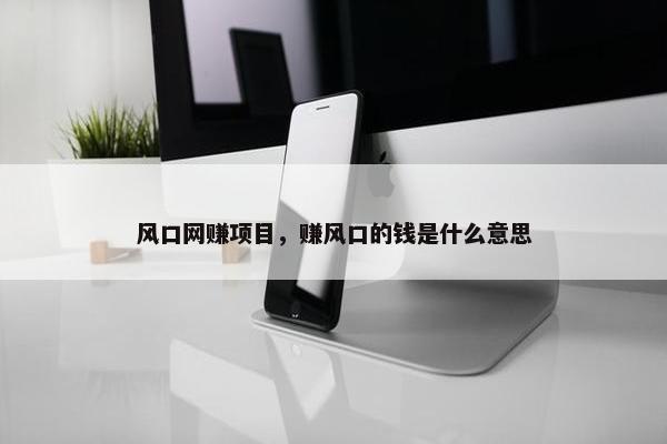 风口网赚项目，赚风口的钱是什么意思