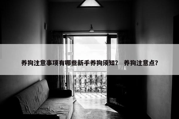养狗注意事项有哪些新手养狗须知？ 养狗注意点？