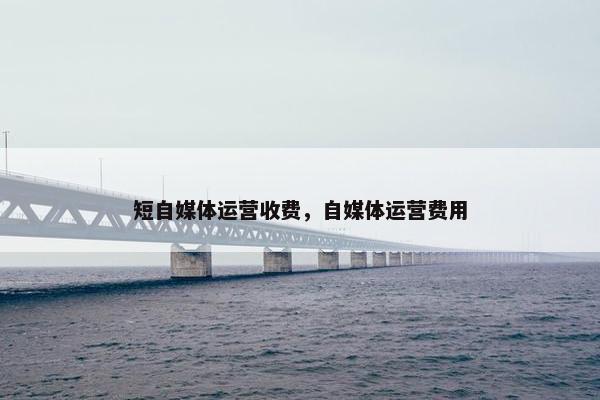 短自媒体运营收费，自媒体运营费用