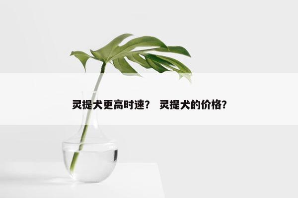 灵提犬更高时速？ 灵提犬的价格？