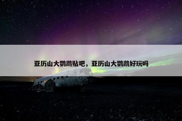亚历山大鹦鹉贴吧，亚历山大鹦鹉好玩吗