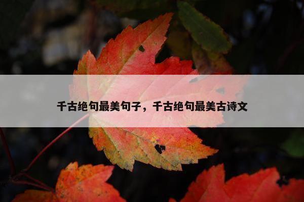 千古绝句最美句子，千古绝句最美古诗文