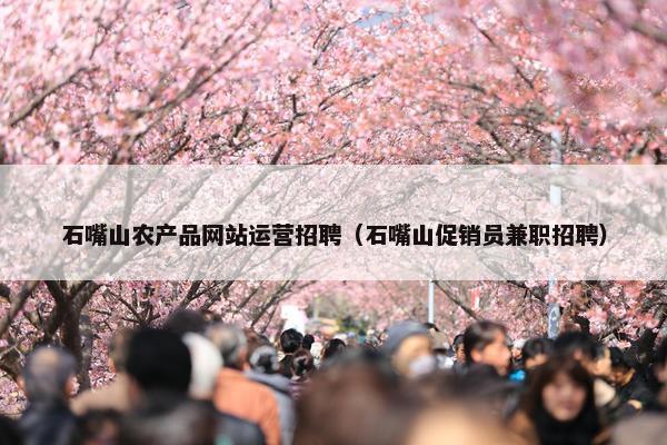 石嘴山农产品网站运营招聘（石嘴山促销员兼职招聘）
