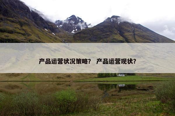 产品运营状况策略？ 产品运营现状？