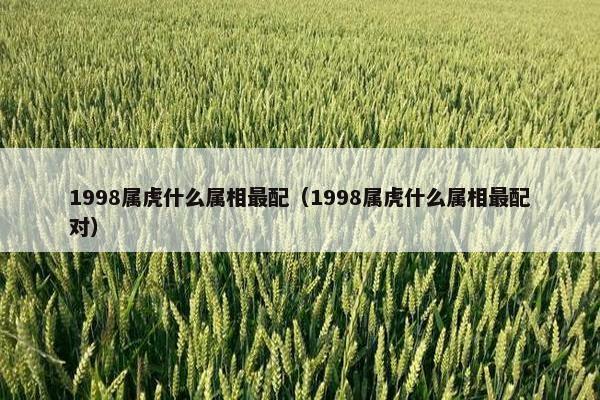 1998属虎什么属相最配（1998属虎什么属相最配对）