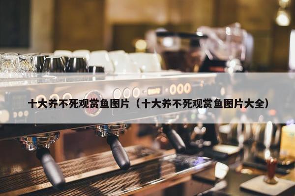 十大养不死观赏鱼图片（十大养不死观赏鱼图片大全）