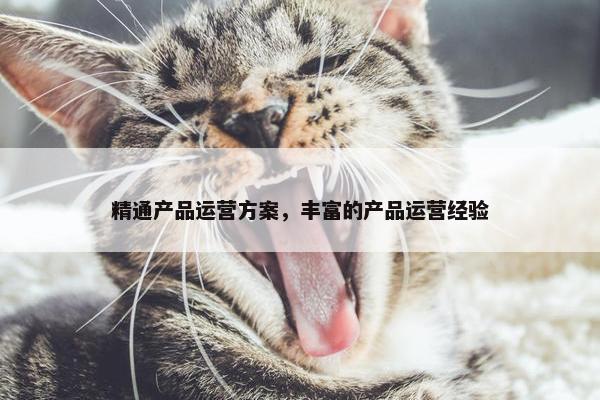 精通产品运营方案，丰富的产品运营经验