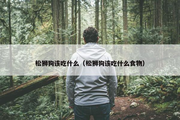 松狮狗该吃什么（松狮狗该吃什么食物）