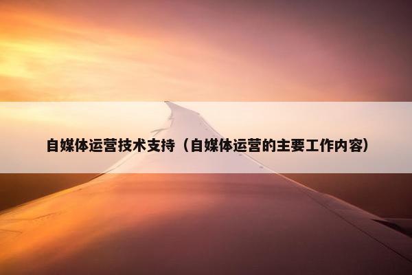 自媒体运营技术支持（自媒体运营的主要工作内容）