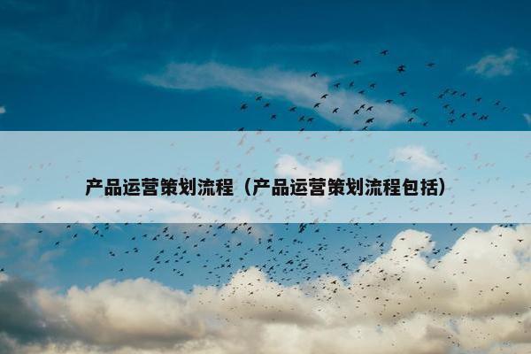 产品运营策划流程（产品运营策划流程包括）