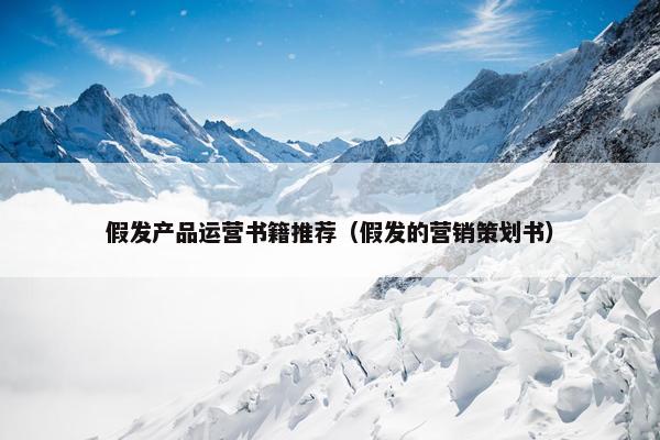 假发产品运营书籍推荐（假发的营销策划书）