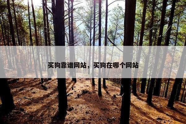 买狗靠谱网站，买狗在哪个网站
