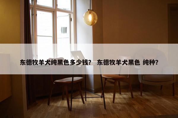 东德牧羊犬纯黑色多少钱？ 东德牧羊犬黑色 纯种？