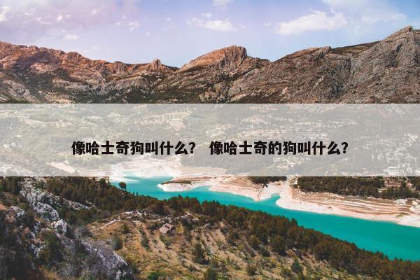 像哈士奇狗叫什么？ 像哈士奇的狗叫什么？