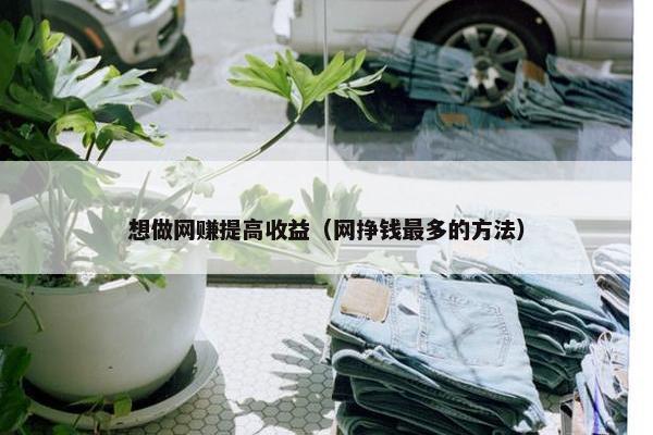 想做网赚提高收益（网挣钱最多的方法）
