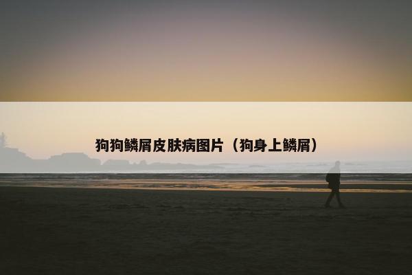 狗狗鳞屑皮肤病图片（狗身上鳞屑）