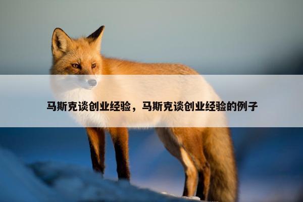 马斯克谈创业经验，马斯克谈创业经验的例子