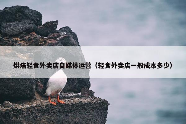 烘焙轻食外卖店自媒体运营（轻食外卖店一般成本多少）