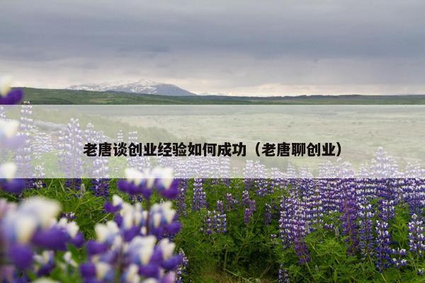 老唐谈创业经验如何成功（老唐聊创业）