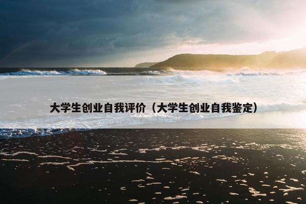 大学生创业自我评价（大学生创业自我鉴定）