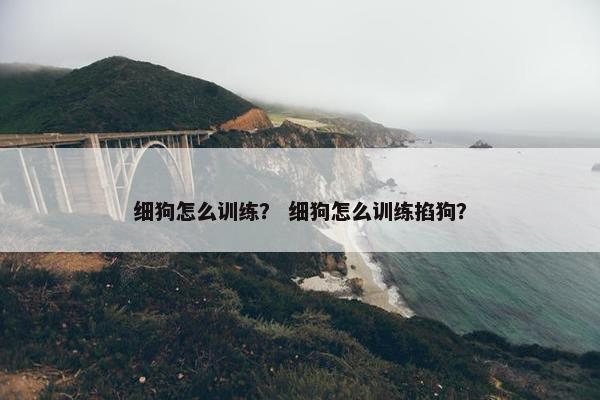 细狗怎么训练？ 细狗怎么训练掐狗？