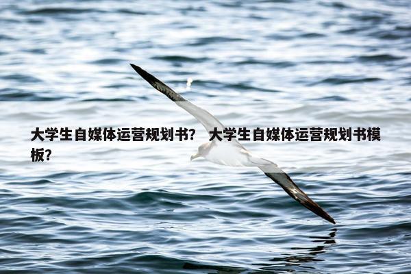 大学生自媒体运营规划书？ 大学生自媒体运营规划书模板？