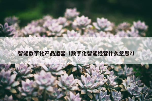 智能数字化产品运营（数字化智能经营什么意思?）