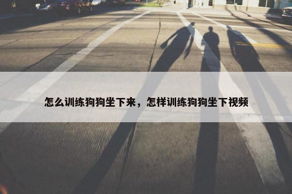 怎么训练狗狗坐下来，怎样训练狗狗坐下视频