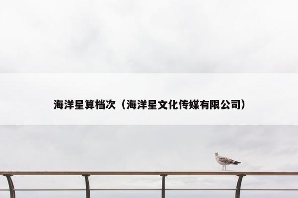 海洋星算档次（海洋星文化传媒有限公司）