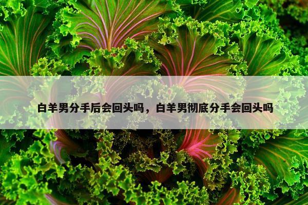 白羊男分手后会回头吗，白羊男彻底分手会回头吗