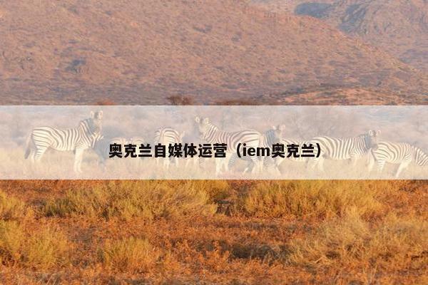 奥克兰自媒体运营（iem奥克兰）