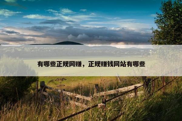 有哪些正规网赚，正规赚钱网站有哪些
