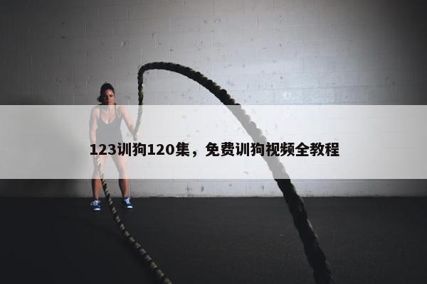 123训狗120集，免费训狗视频全教程
