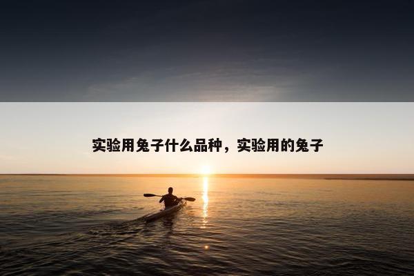 实验用兔子什么品种，实验用的兔子