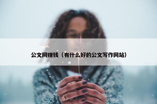 公文网赚钱（有什么好的公文写作网站）