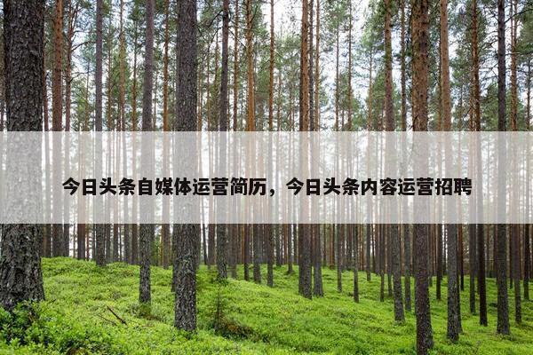 今日头条自媒体运营简历，今日头条内容运营招聘