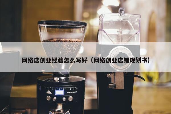 网络店创业经验怎么写好（网络创业店铺规划书）
