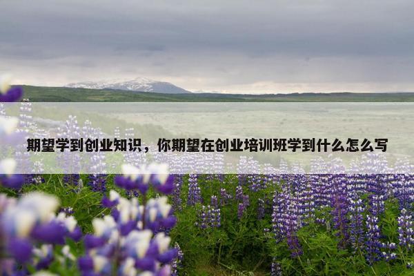 期望学到创业知识，你期望在创业培训班学到什么怎么写