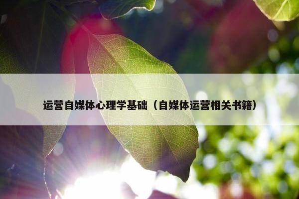 运营自媒体心理学基础（自媒体运营相关书籍）