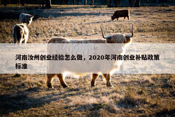 河南汝州创业经验怎么做，2020年河南创业补贴政策标准