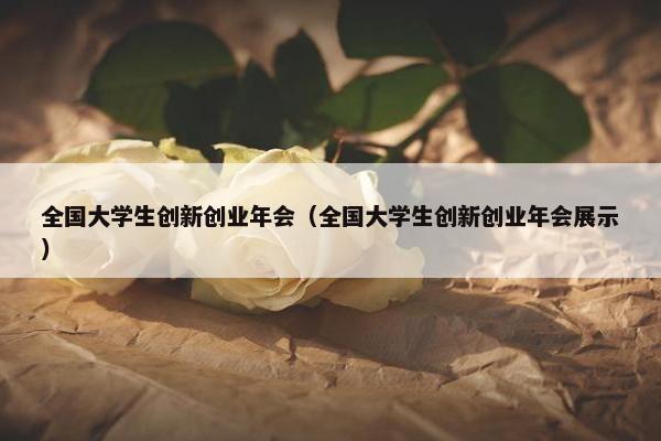 全国大学生创新创业年会（全国大学生创新创业年会展示）