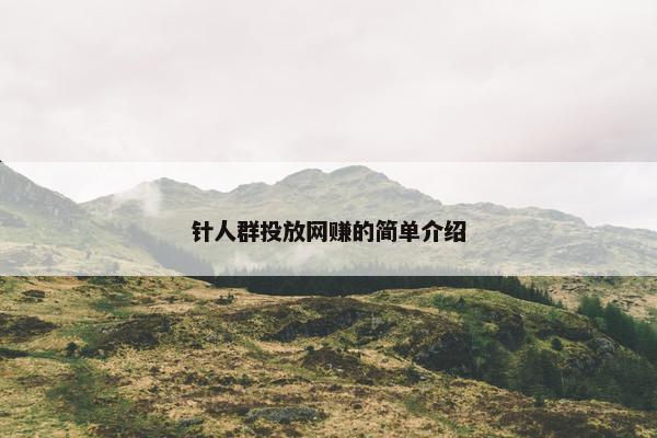 针人群投放网赚的简单介绍