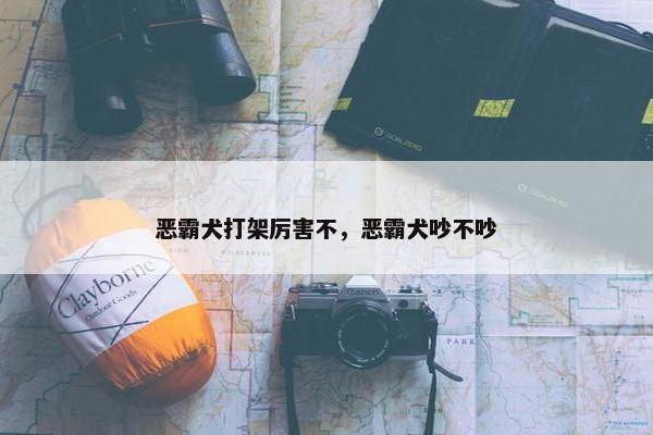 恶霸犬打架厉害不，恶霸犬吵不吵