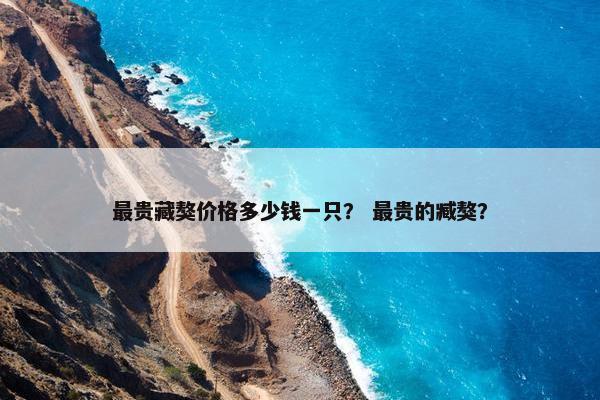 最贵藏獒价格多少钱一只？ 最贵的臧獒？
