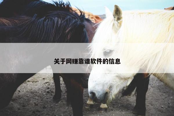 关于网赚靠谱软件的信息