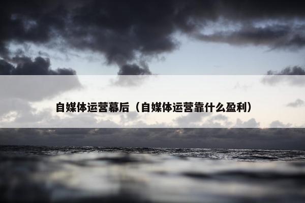自媒体运营幕后（自媒体运营靠什么盈利）